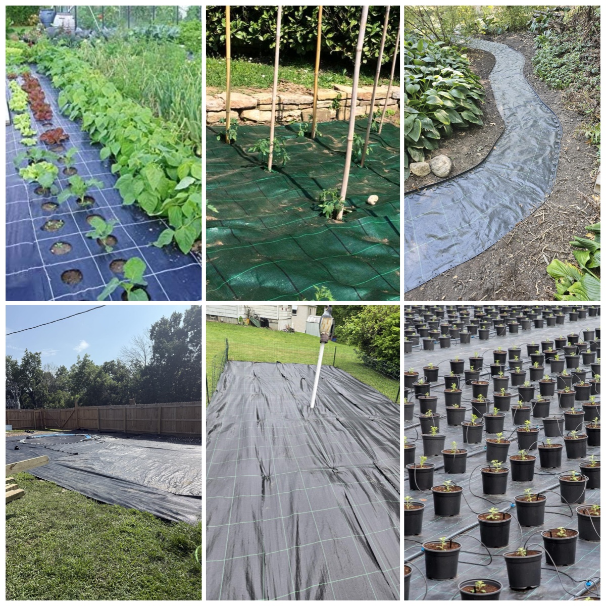 square pp ground cover3.jpg